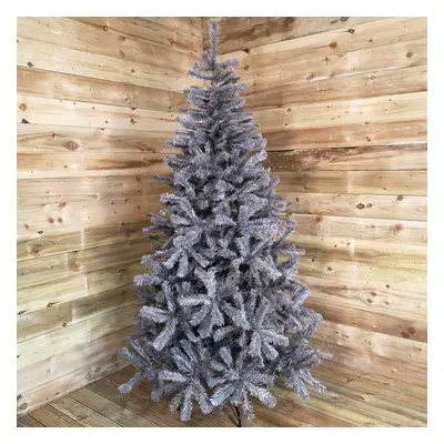 7ft (210cm) Colorado Grey Spruce Christmas Tree