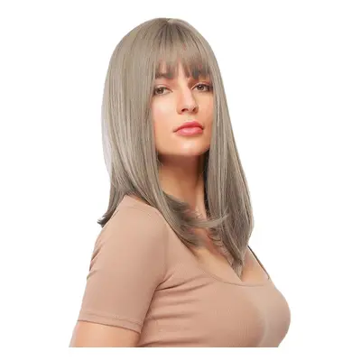 Gray Mixed Color Medium-Length Straight Hair Soft Natural Full Head Cover Wig