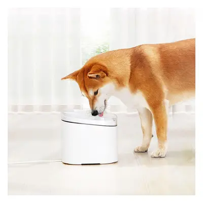 2L Smart Electric Autoxic Filtering Pet Water Dispenser Water Bucket From Electric Pet Drinking 