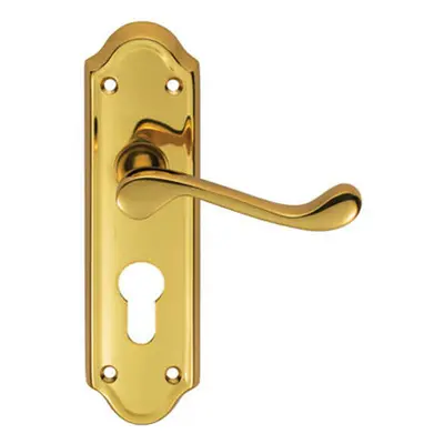 PAIR Victorian Upturned Lever on Euro Lock Backplate x 47mm Polished Brass