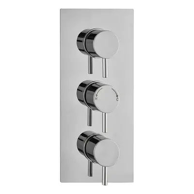 Concealed Thermostatic Shower Mixer Valve Handles Outlets