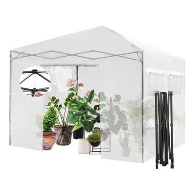 Garden Greenhouse Indoor Outdoor Mini Walk-in Greenhouse with PE Cover