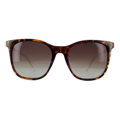 Polaroid Sunglasses PLD 4059/S LA Dark Havana Brown Polarized