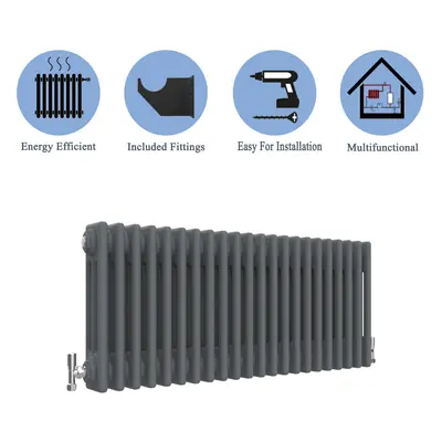 (Anthracite , 300*830mm) Cast Iron Style Radiators