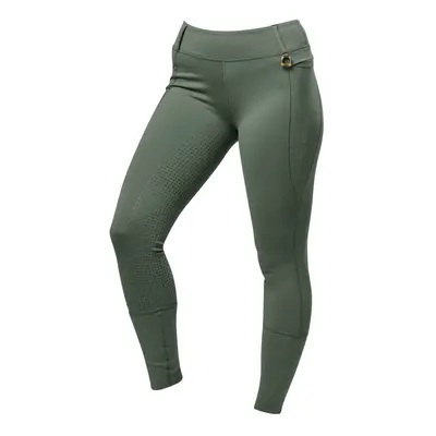 (16 UK, Olive Green) Dublin Womens/Ladies Cool It Everyday Horse Riding Tights