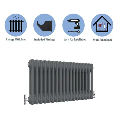 (Anthracite , 300*425mm) Cast Iron Style Radiators