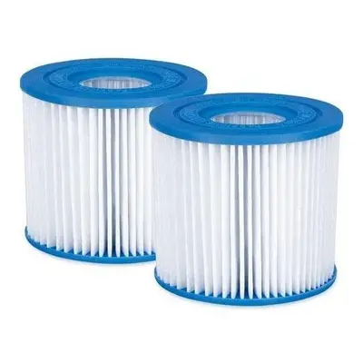 Summer Waves Replacement Type D Pool and Hot Tube Spa Filter Cartridge, (2 Pack)