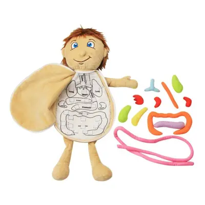 Children Fabric Body Structure Puzzle Doll Boys and Girls Human Organ Structure Cognitive Educat