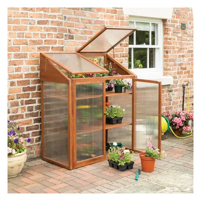 Hardwood Mini Greenhouse