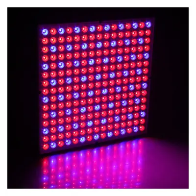 45W 200W Reflector Cup Full Spectrum Led Grow Lights For Grow Tent Box Indoor Greenhouse