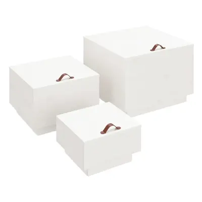 (White) vidaXL 3x Solid Wood Pine Storage Boxes with Lids Tool Chest Multi Colours