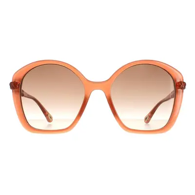 Chloe Sunglasses CH0003S Dark Pink Brown Gradient