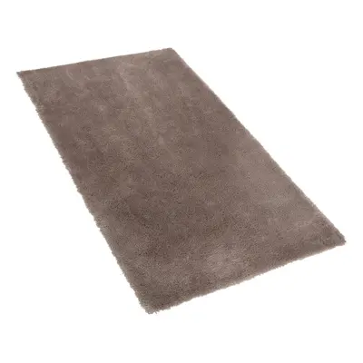 Shaggy Area Rug x cm Light Brown EVREN