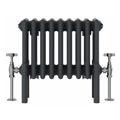 (300x425mm, Anthracite) NRG Traditional Cast Iron Style Style Radiator Four Column Designer Bath