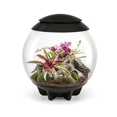 biOrb AIR Litre Automatic Terrarium in Black with LED Lighting