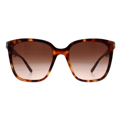 Bvlgari Sunglasses BV8245 Havana Brown Gradient