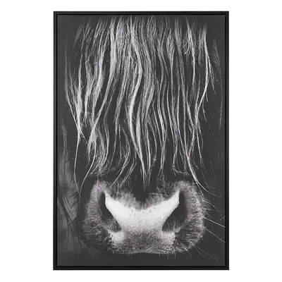 Canvas GALEATA Rectangular x cm Animal Black