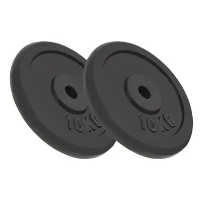 vidaXL 2x Weight Plates 2x10 kg Cast Iron Fitness Gym for Dumbbell Lifting Bars