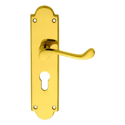 PAIR Victorian Scroll Lever on Euro Lock Backplate x 49mm Polished Brass