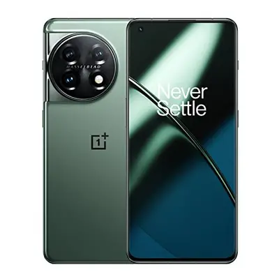 OnePlus (Global Spec, CPH2451) (256GB+16GB, Ethernal Green)