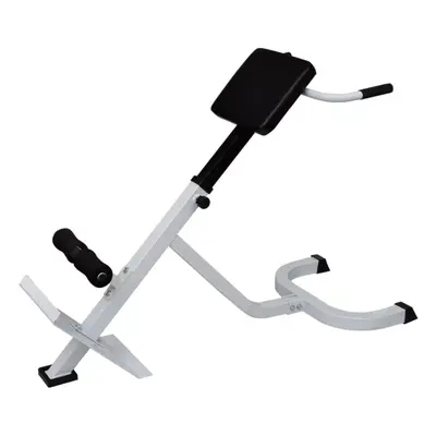 vidaXL Back Extension Trainer Bench Roman Chair Fitness Exercise Folding Design