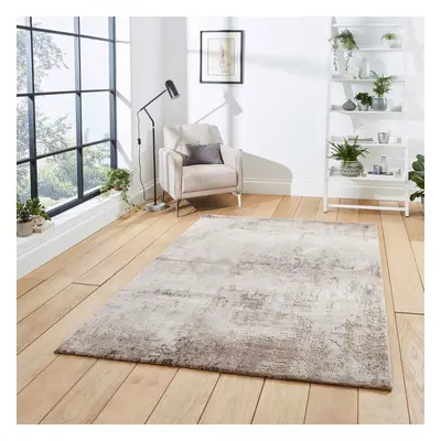 (50034 Beige/Silver, x cm) Gold Silver Modern Rugs Abstract Small Large Living Room Rug Bedroom 