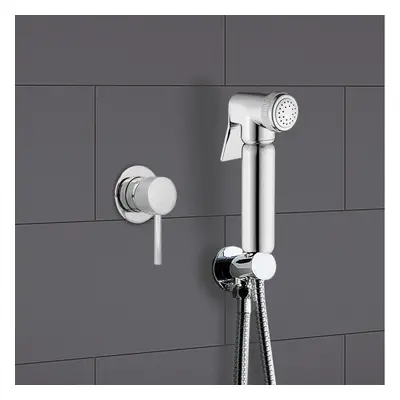 Modern Chrome Handheld Brass Douche Bidet Spray Set with Lever Controlled Mixer