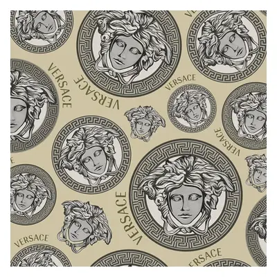 Versace Plate Metallic Wallpaper Taupe Silver Vinyl Paste Wall Textured