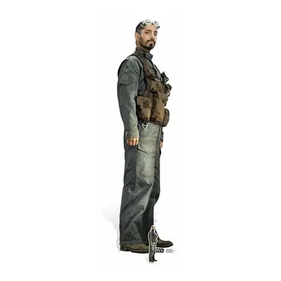 Bodhi Rook (Star Wars Rogue One) Riz Ahmed Lifesize Cardboard Cutout