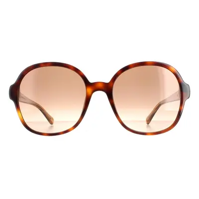 Tommy Hilfiger Sunglasses TH 1812/S 05L HA Havana Brown Gradient