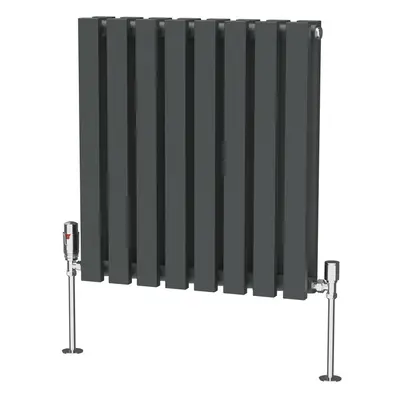 (600 x 550mm Double) NRG Horizontal Vertical Designer D-shape Radiator Single Double Panel Bathr