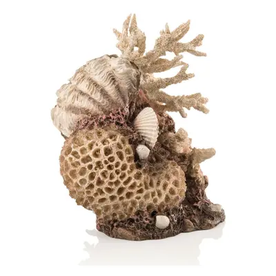 biOrb Coral Shell Ornament Natural