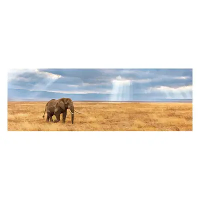 Clementoni Lost Panorama High Quality Jigsaw Puzzle (1000 Pieces)