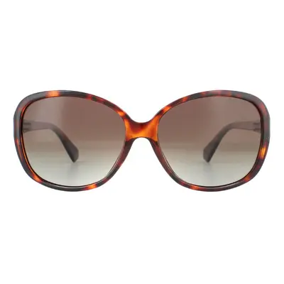 Polaroid Sunglasses PLD 4098/S LA Dark Havana Brown Gradient Polarised