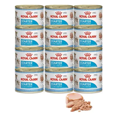 ROYAL CANIN Starter Mousse Mother & Babydog - x 195g