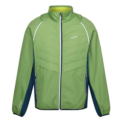 (L, Piquant Green/Moroccan Blue/Citron Lime) Regatta Mens Steren II Softshell Hybrid Jacket