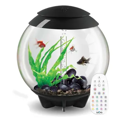 BiOrb Halo 60L Aquarium in Grey with MCR LED Lighting