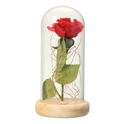 (Log Base) Red Rose Lights Decorations Beauty Enchanted Preserved Red Fresh Rose Glass Cover wit