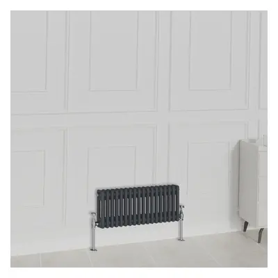 (300x830mm-2 Column, Anthracite) NRG Traditional Radiator Horizontal Vertical Cast Iron Style Do