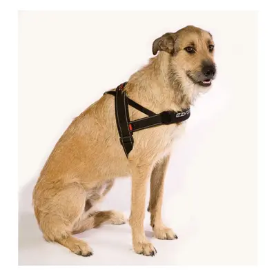 EzyDog Quick Fit Harness Black