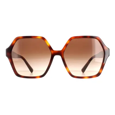 Valentino Sunglasses VA4088 Havana Brown Gradient