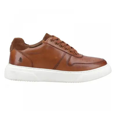 (12 (Adults')) Wyatt | Tan | Men's Casual Lace Up Trainers