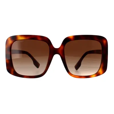 Burberry Sunglasses BE4363 Light Havana Brown Gradient