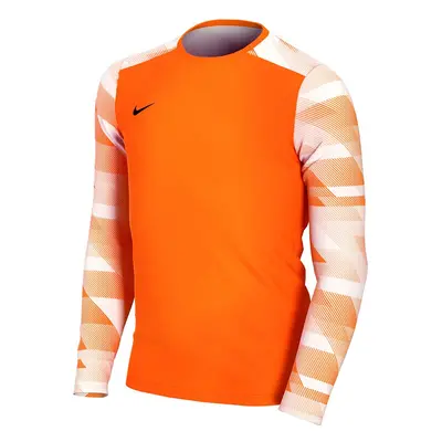 Nike Dry Park IV JSY LS GK JUNIOR Goalkeeper Sweatshirt orange CJ6072 S