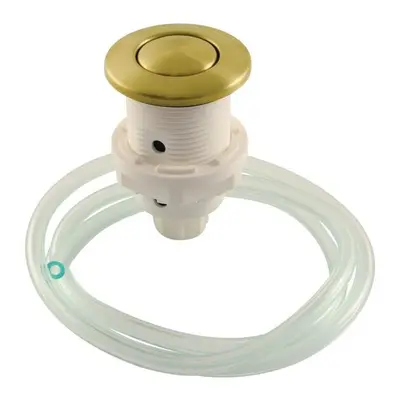 Gourmetier Disposal Air Switch Button, Brushed Brass