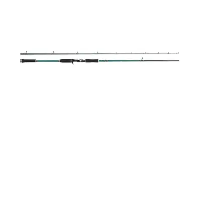 (6'6" 45-100g) Abu Garcia Beast X Pike Rods