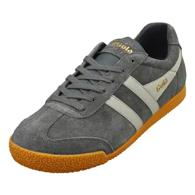 (8) Gola Harrier Mens Classic Trainers in Storm Grey