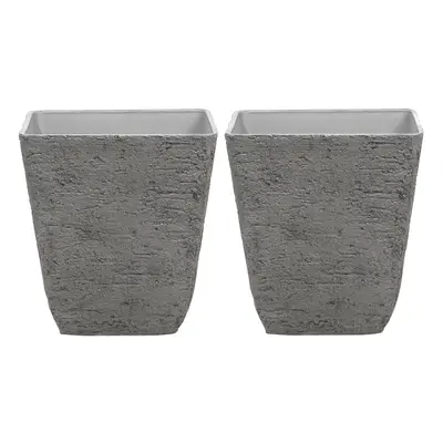 Set of Plant Pots x x cm Grey DELOS