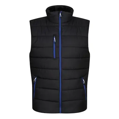 (XL, Black/New Royal) Regatta Mens Navigate Thermal Body Warmer