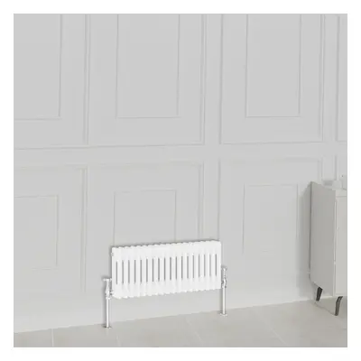 (300x830mm-2 Column, White) NRG Traditional Radiator Horizontal Vertical Cast Iron Style Double 